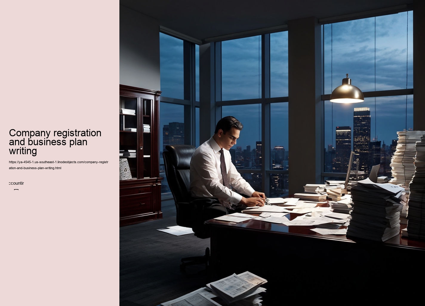 Company registration and business plan writing